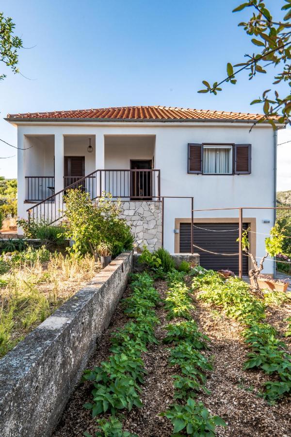 Family House Rossetti Villa Marina Dış mekan fotoğraf